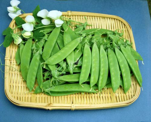 荷兰豆